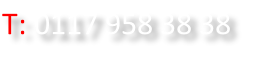 T: 0117 958 38 38 
